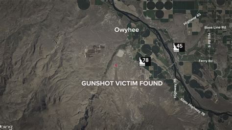 Owyhee County fatal shooting leads to manslaughter。